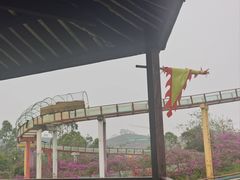 -田园寨农园观光园