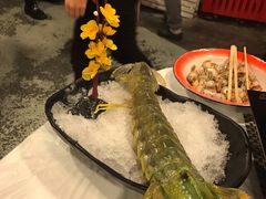 -鲜入围煮花胶鸡海鲜火锅