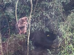 -西岭雪山大飞水景区