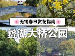 -蠡湖大桥公园