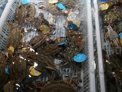 -盒马鲜生(馥邦国际店)