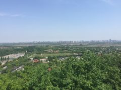 -上海佘山国家森林公园西佘山园