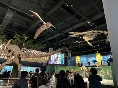 -国家自然博物馆