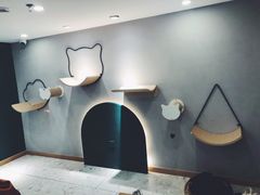 -飞行喵MR PILOT|猫舍·猫咖(静安大融城店)