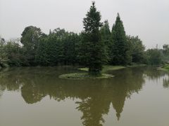 -桤木河湿地公园