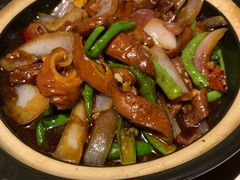 -四季春