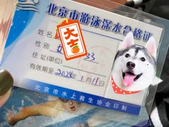 -四十四中游泳馆