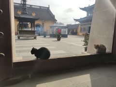 -东台西溪天仙缘景区