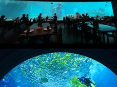 -海棠湾洲际-涛·海底餐厅·美人鱼·自助餐·海底隧道