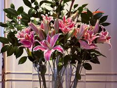 -彩丰楼·中餐厅(国家会展中心上海洲际店)