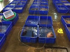 -幸福姐海鲜大排档