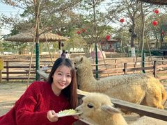 -盈香心动乐园