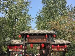 -合肥滨湖国家森林公园