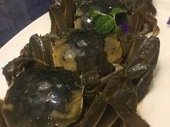 -新光酒家·河豚·海鲜·蟹料理(浦东店)