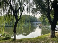 -大兴滨河森林公园