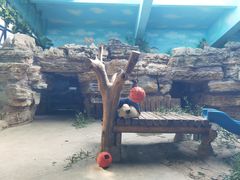 -石家庄市动物园