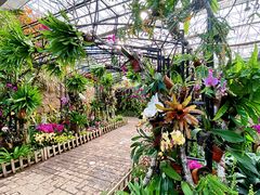 -沈阳植物园