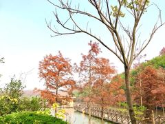 -上海海湾国家森林公园