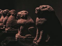 -洛阳博物馆