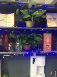 -小桑树染烫改变专门店