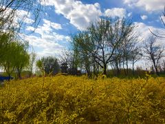 -永定河休闲森林公园