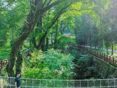 -素山寺森林公园