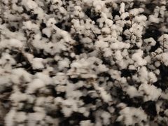 -北京西山滑雪场