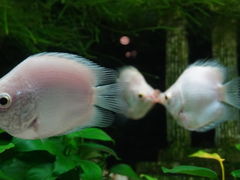 -长沙海底世界