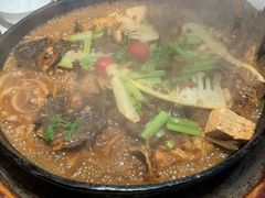 -老板恋上鱼(恒隆广场店)