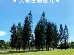 景点-万绿园