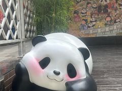 -轩客会(熊猫书店)