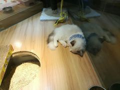 -仲盛世界商城