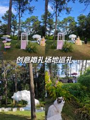 -Sugar苏格婚礼策划工作室