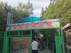 -北京麋鹿生态实验中心
