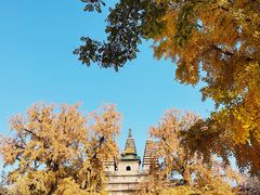 -北京石刻艺术博物馆(五塔寺)