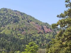 -岳西天峡风景区