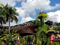 -西涌国际滨海旅游区