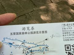 -五营红松林海景区