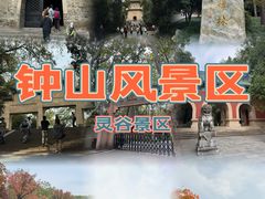 -灵谷景区