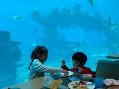 -海棠湾洲际-涛·海底餐厅·美人鱼·自助餐·海底隧道