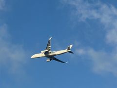 -春花秋色城市公园