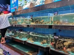 水产区-昌隆•家家鹅乡•海南菜老字号(琼海店)