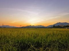 -崖口云吞(中堡店)