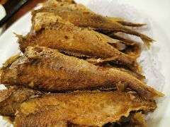 -熠盛粤味·顺德桑拿鸡(永康路店)