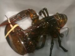 -鱼乐轩海鲜专门店