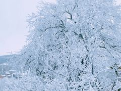 -庐山风景名胜区
