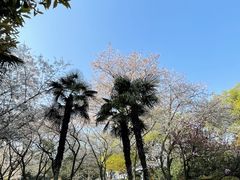 -中国茶叶博物馆(双峰馆区)