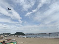 -灌篮高手动画打卡地