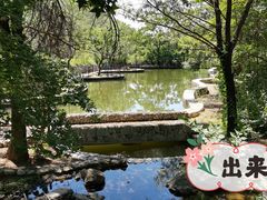-静之湖度假区