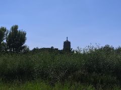 -永定河休闲森林公园